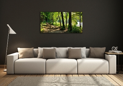 Tableau en verre Chemin dans la prairie