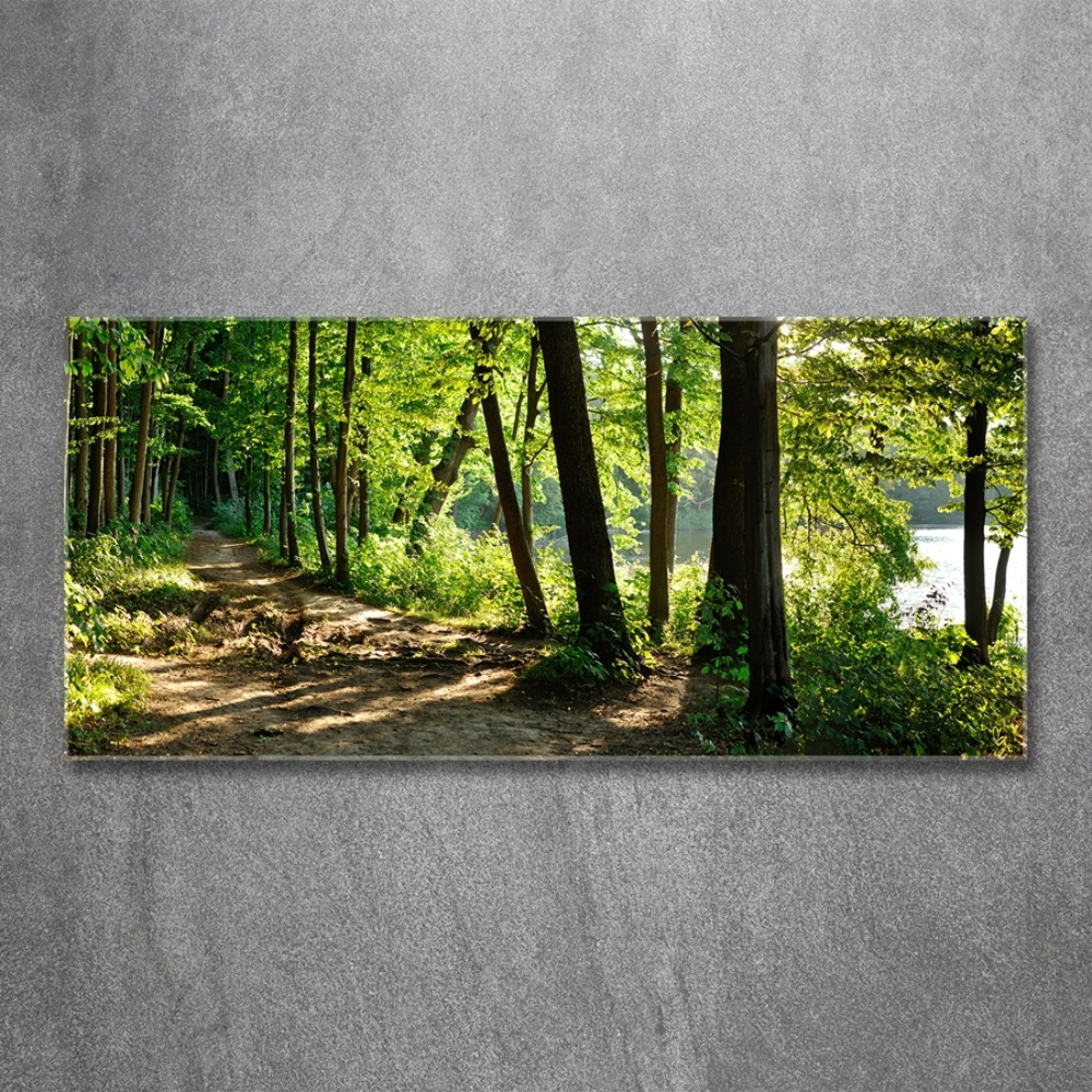 Tableau en verre Chemin dans la prairie