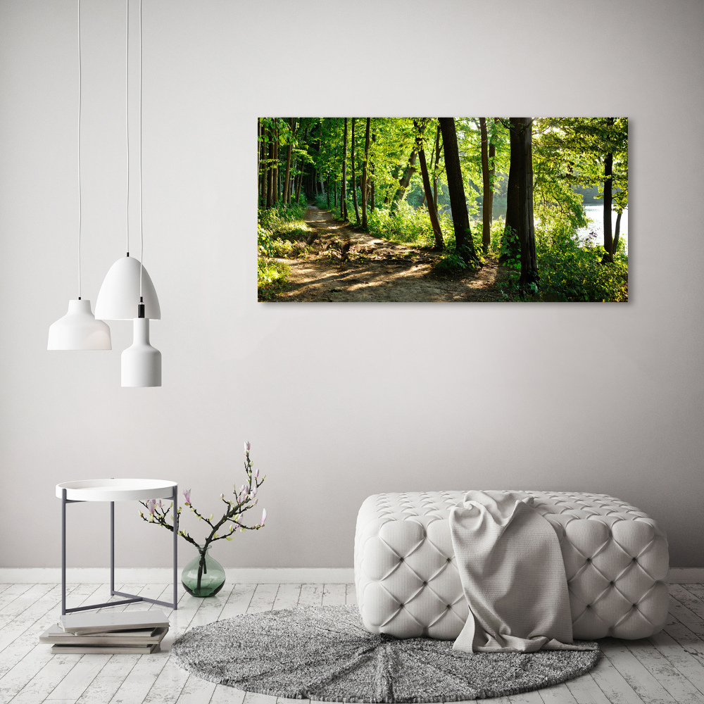 Tableau en verre Chemin dans la prairie