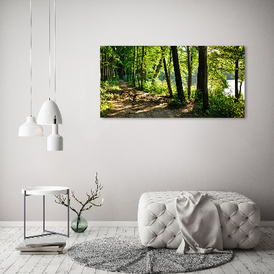 Tableau en verre Chemin dans la prairie