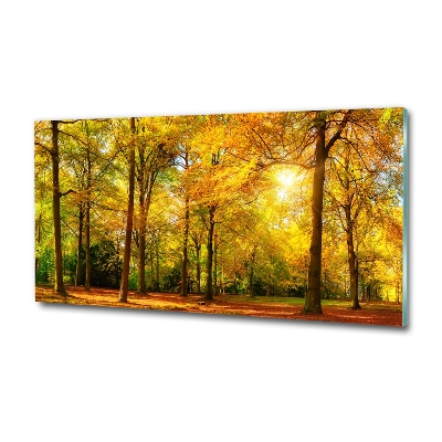 Tableau photo sur verre Forêt d'automne