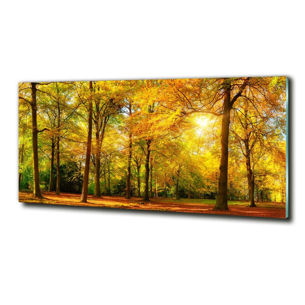 Tableau photo sur verre Forêt d'automne