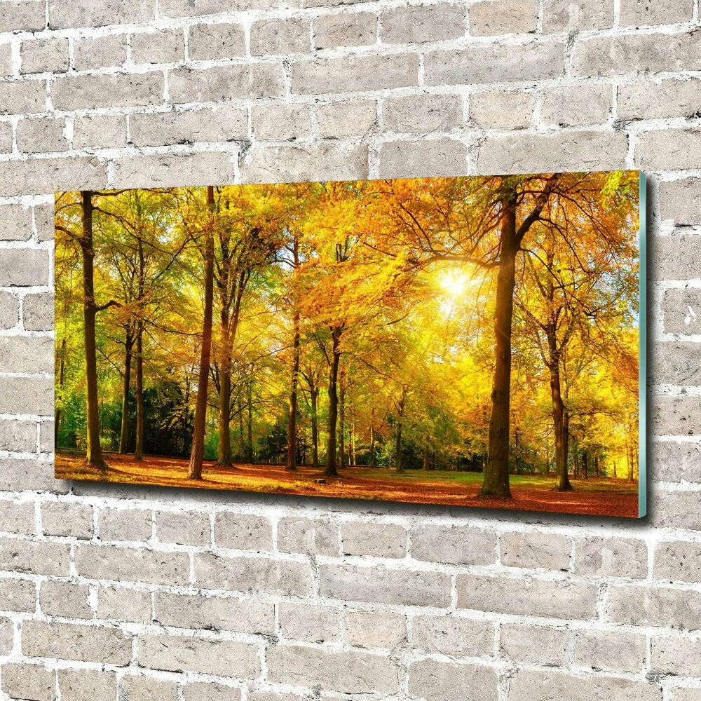 Tableau photo sur verre Forêt d'automne