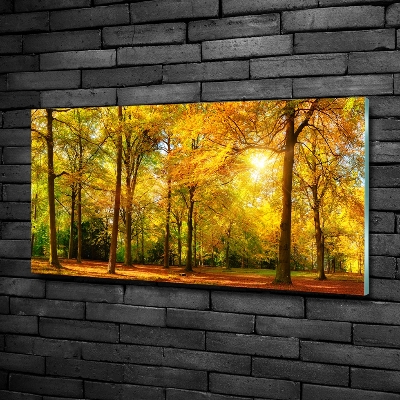 Tableau photo sur verre Forêt d'automne