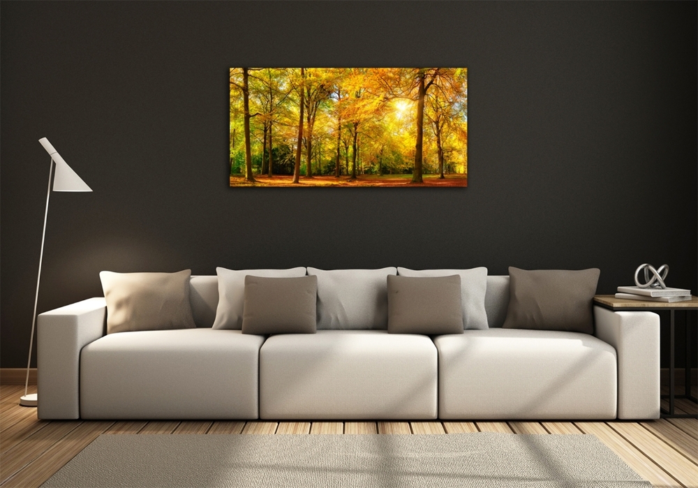 Tableau photo sur verre Forêt d'automne