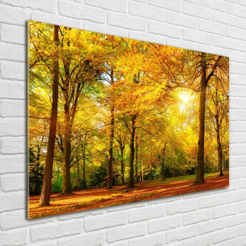 Tableau photo sur verre Forêt d'automne