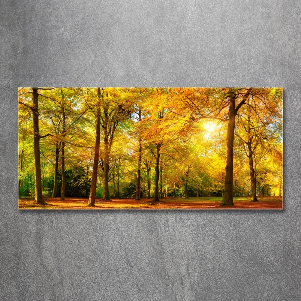 Tableau photo sur verre Forêt d'automne