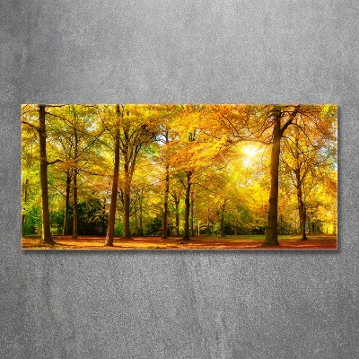 Tableau photo sur verre Forêt d'automne