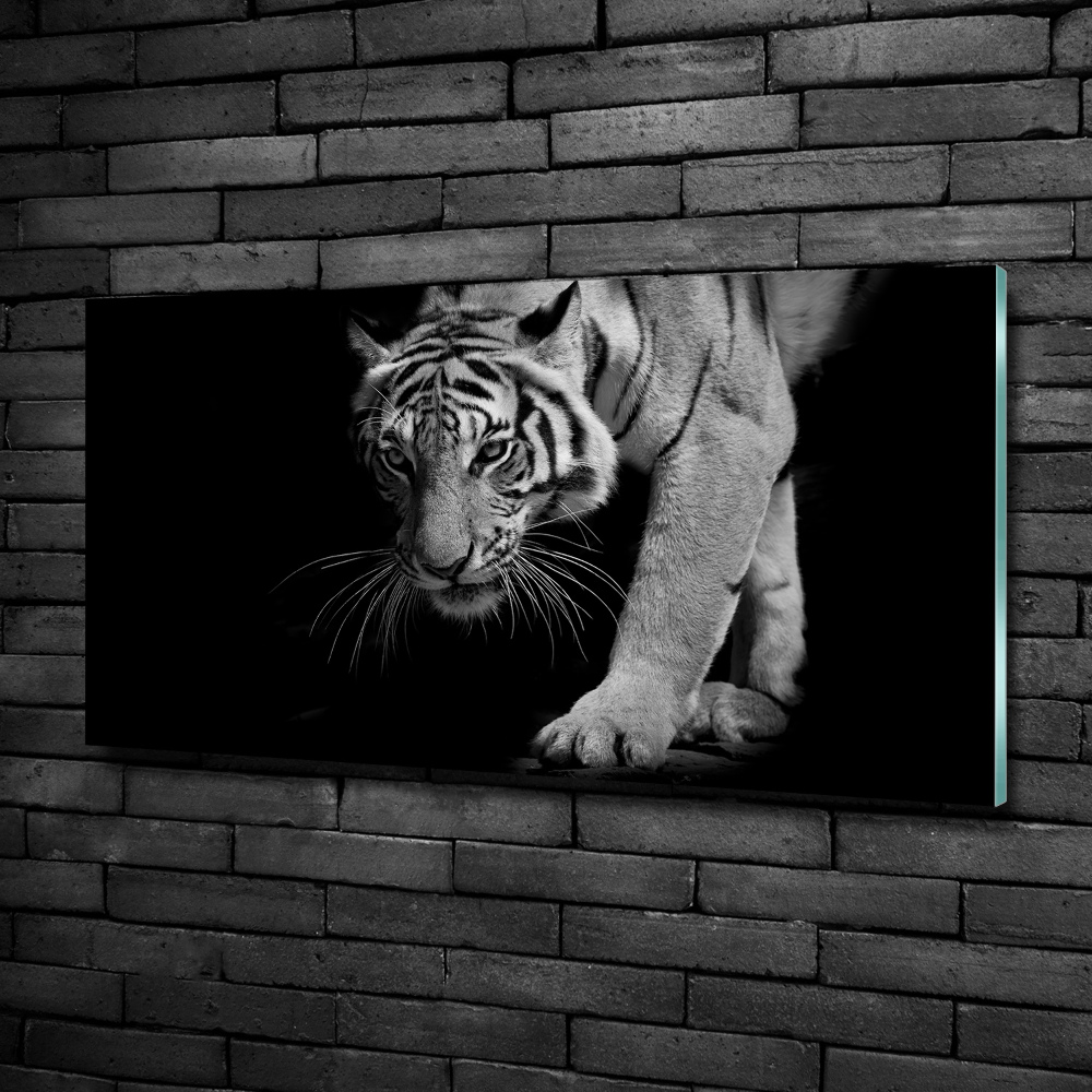 Tableau imprimé sur verre Tigre