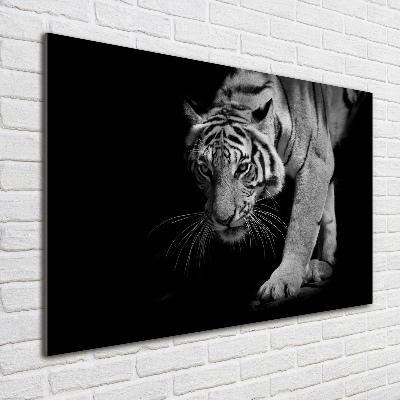 Tableau imprimé sur verre Tigre