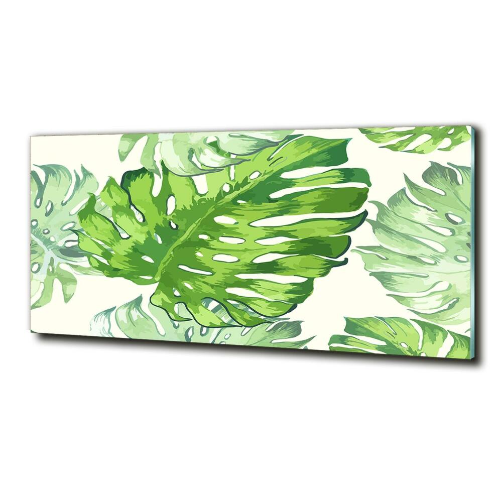 Tableau imprimé sur verre Feuilles tropicales monstera