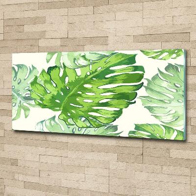 Tableau imprimé sur verre Feuilles tropicales monstera