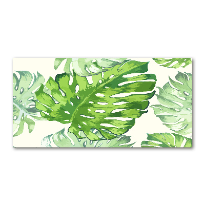 Tableau imprimé sur verre Feuilles tropicales monstera