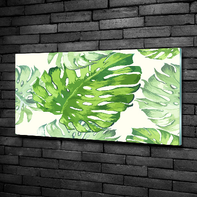 Tableau imprimé sur verre Feuilles tropicales monstera