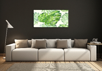 Tableau imprimé sur verre Feuilles tropicales monstera