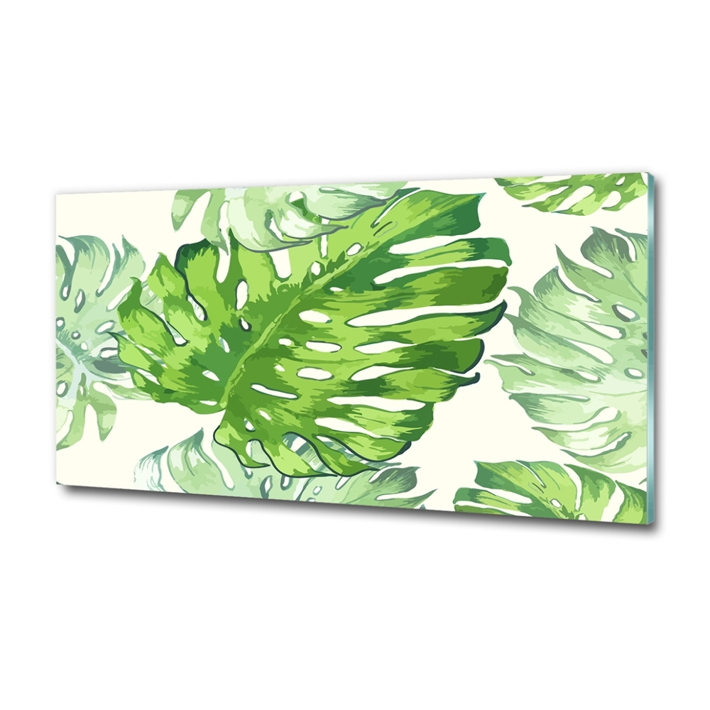 Tableau imprimé sur verre Feuilles tropicales monstera