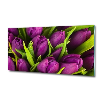 Tableau imprimé sur verre Tulipes pourpres