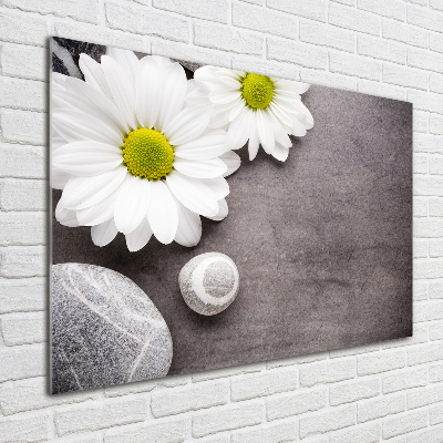 Tableau en verre Gerbera