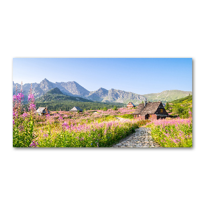 Tableau photo sur verre Chalets en montagne