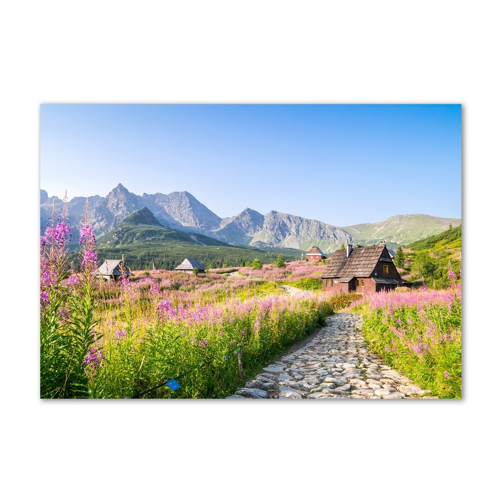 Tableau photo sur verre Chalets en montagne