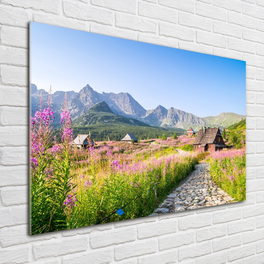 Tableau photo sur verre Chalets en montagne