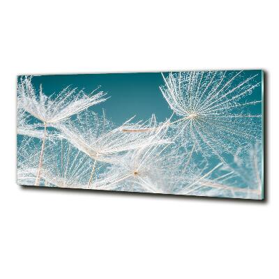 Tableau photo sur verre Graine de bouffi ciel