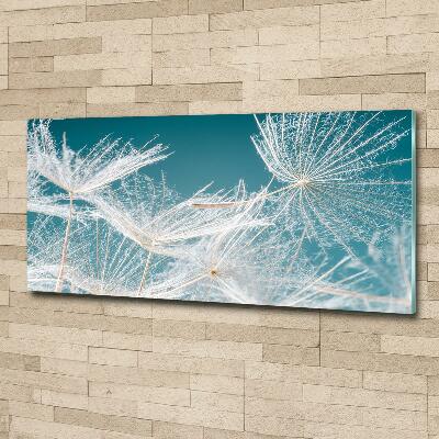 Tableau photo sur verre Graine de bouffi ciel