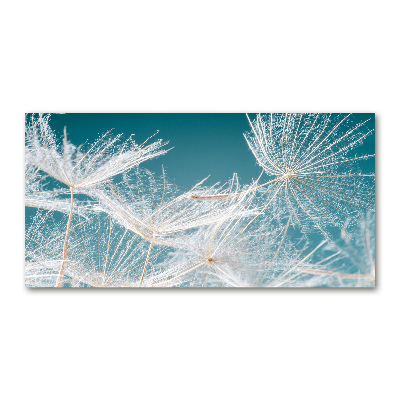 Tableau photo sur verre Graine de bouffi ciel