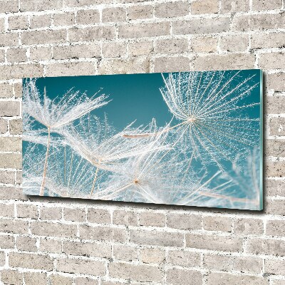 Tableau photo sur verre Graine de bouffi ciel