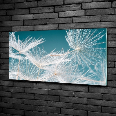 Tableau photo sur verre Graine de bouffi ciel