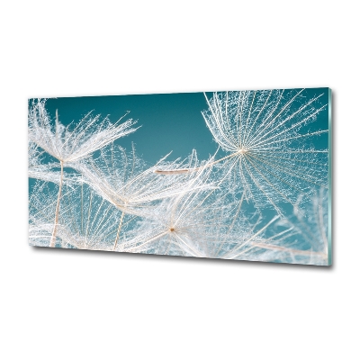 Tableau photo sur verre Graine de bouffi ciel