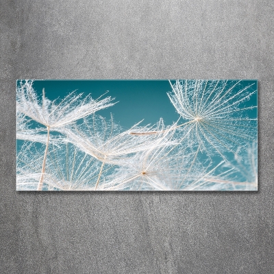 Tableau photo sur verre Graine de bouffi ciel