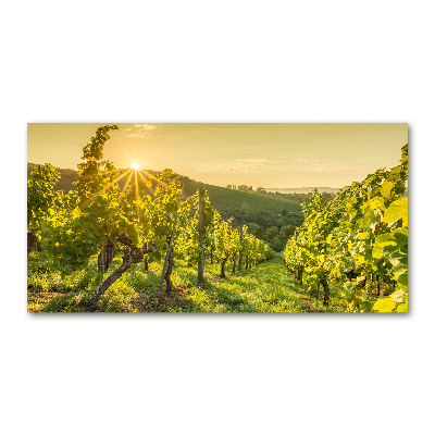 Tableau en verre Vignobles