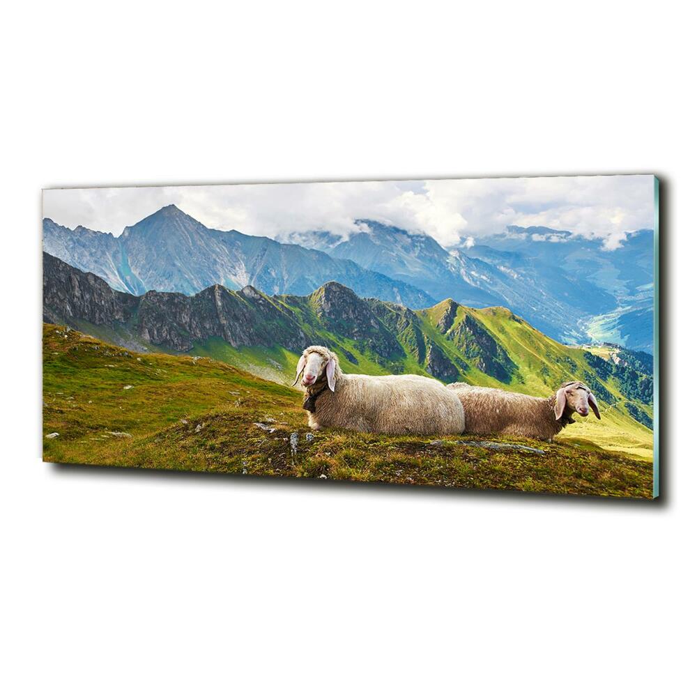 Tableau sur verre Mouton dans les Alpes