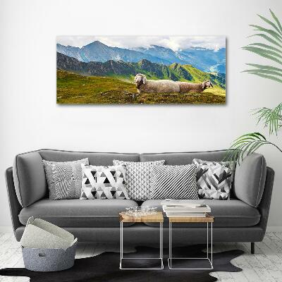 Tableau sur verre Mouton dans les Alpes