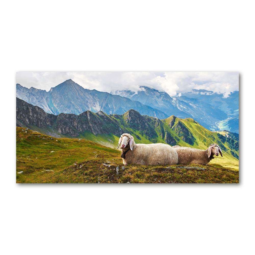 Tableau sur verre Mouton dans les Alpes