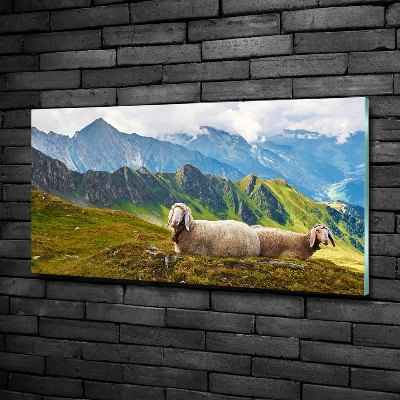 Tableau sur verre Mouton dans les Alpes