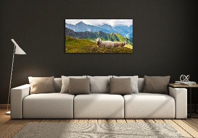 Tableau sur verre Mouton dans les Alpes