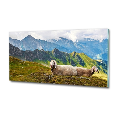 Tableau sur verre Mouton dans les Alpes