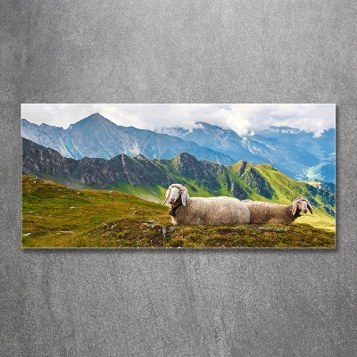 Tableau sur verre Mouton dans les Alpes