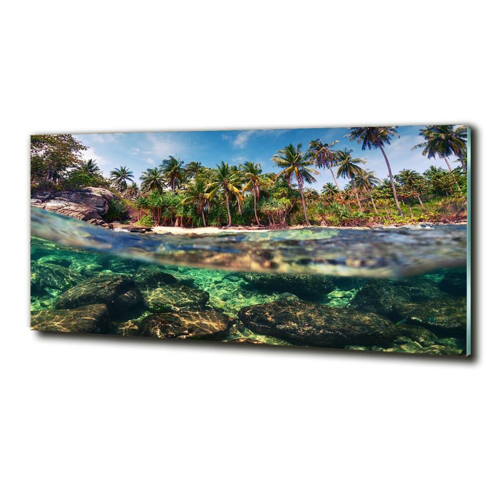 Tableau photo sur verre Plage tropicale eau claire