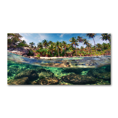 Tableau photo sur verre Plage tropicale eau claire