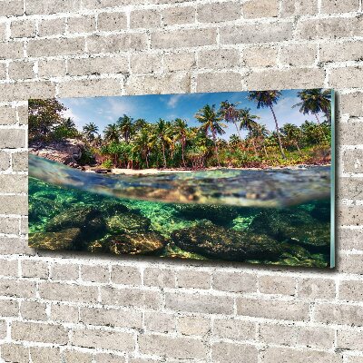 Tableau photo sur verre Plage tropicale eau claire