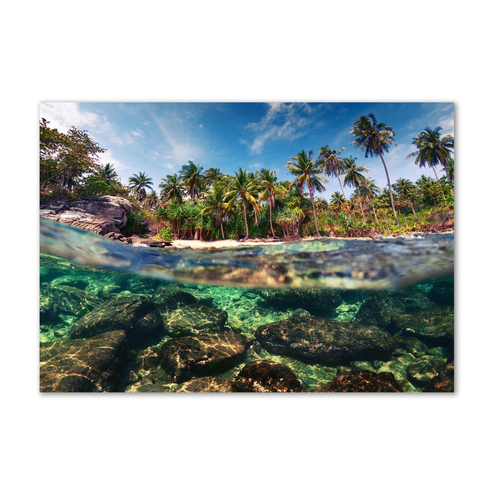 Tableau photo sur verre Plage tropicale eau claire