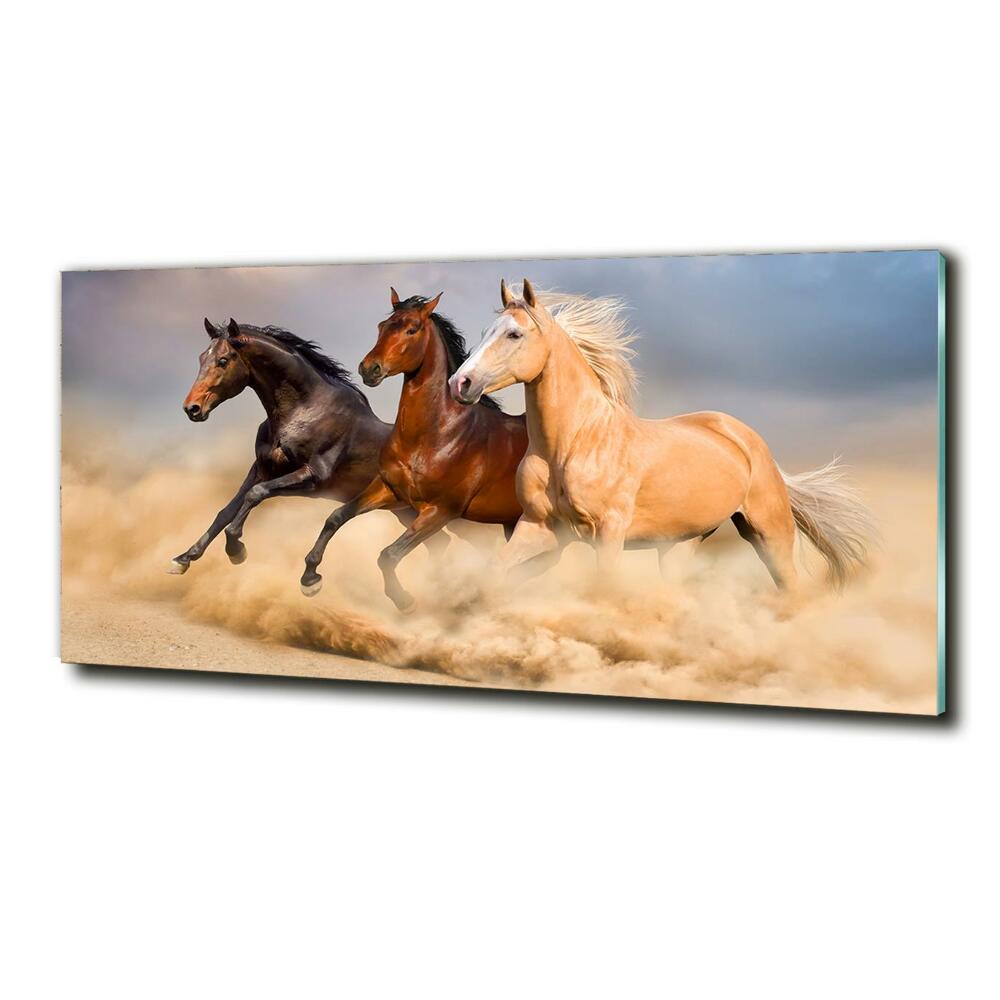 Tableau sur verre Chevaux de marche