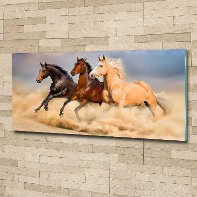 Tableau sur verre Chevaux de marche