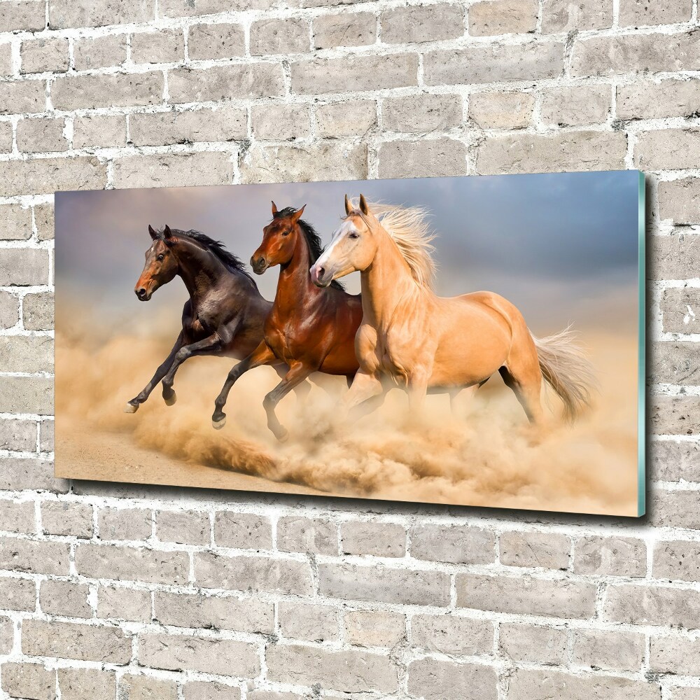 Tableau sur verre Chevaux de marche