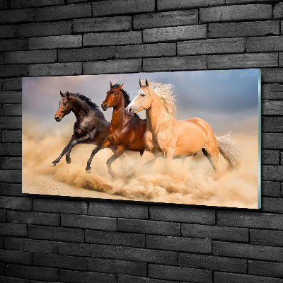 Tableau sur verre Chevaux de marche