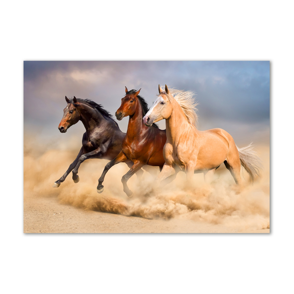 Tableau sur verre Chevaux de marche