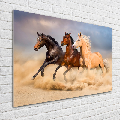 Tableau sur verre Chevaux de marche